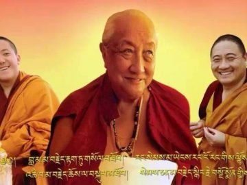 Dilgo Khyentse Rinpoche (226)