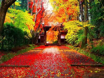 japanese-autumn